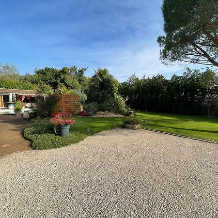 オルゴン Mas De La Butte Blanche Bed & Breakfast エクステリア 写真